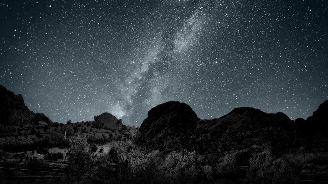 因为哪句话，你买了现在的宠物？